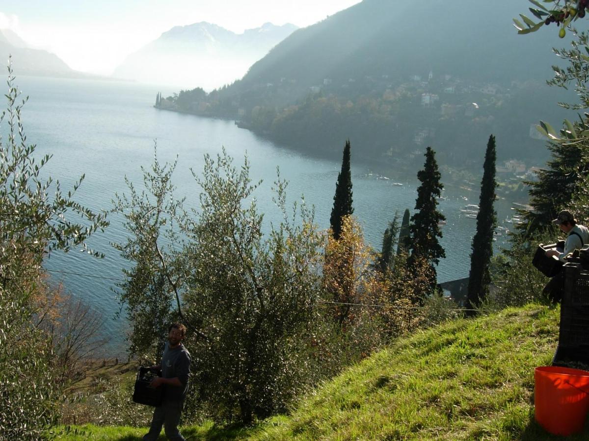Villa casa indipendente IL SOLE DELLE GRIGNE Bellagio Esterno foto